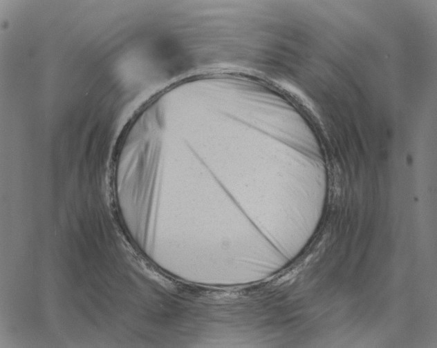 X0000061121278200512161430
