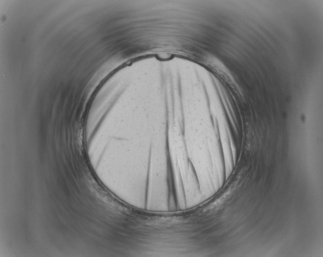 X0000061121284200512161430
