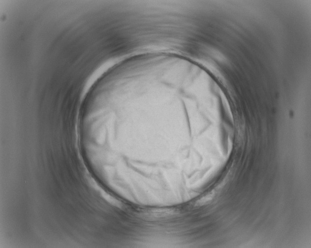 X0000061121294200512161430