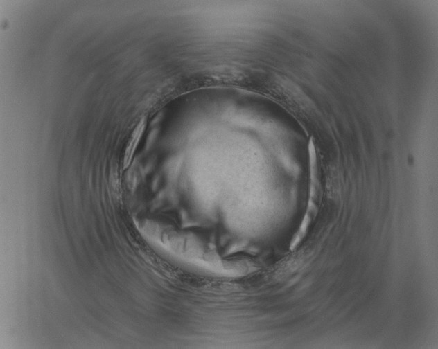 X0000061121298200512161429