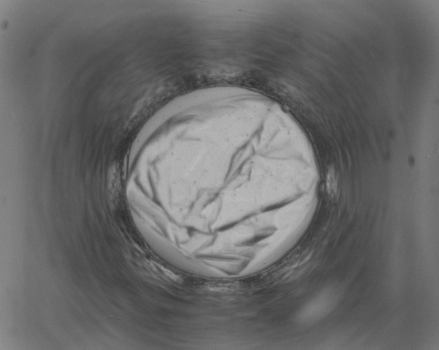 X0000061121299200512161429