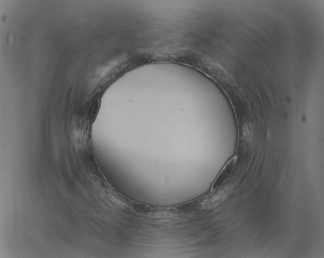 X0000061121300200512161429