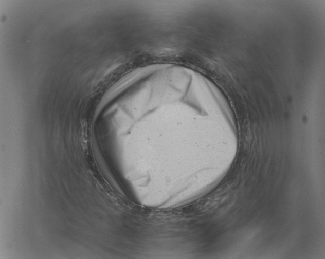 X0000061121301200512161429