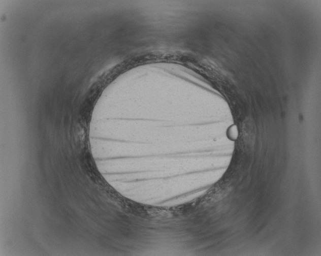 X0000061121302200512161429