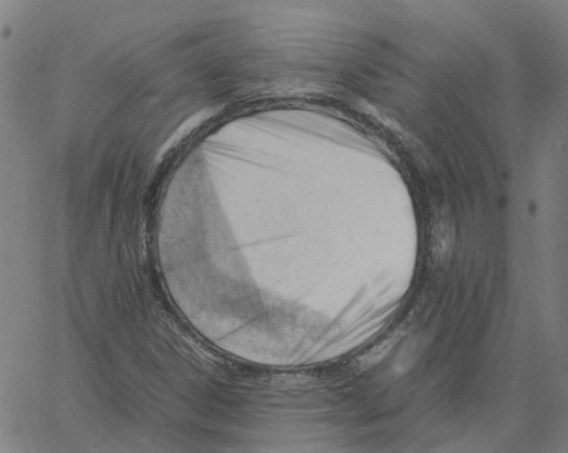 X0000061121306200512161429