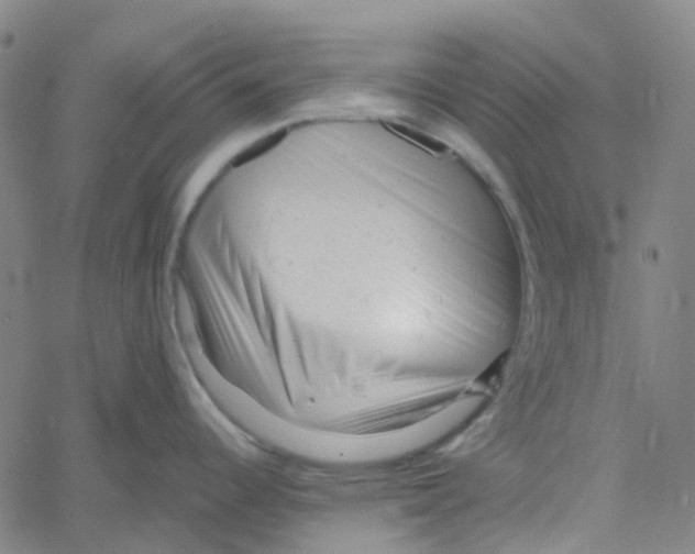 X0000061121344200512161429