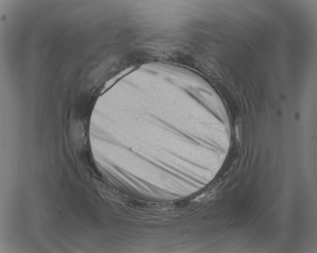 X0000061121347200512161429