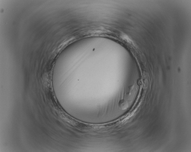 X0000061121353200512161429