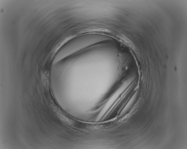 X0000061121369200512161428