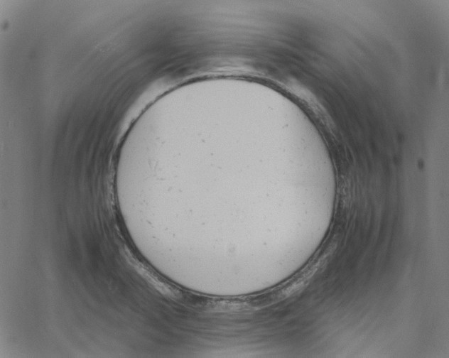 X0000061121374200512161428