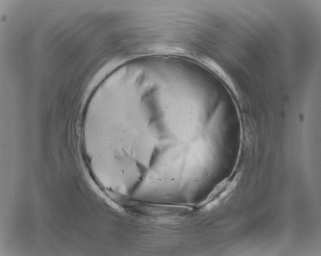 X0000061121381200512161428