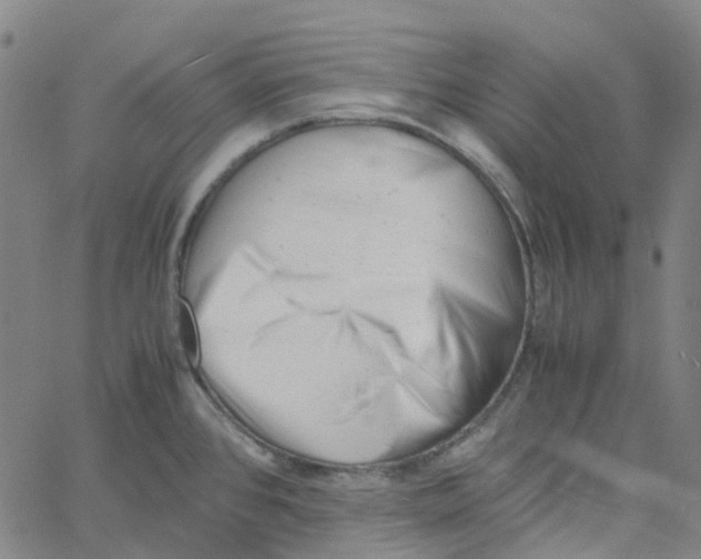 X0000061121384200512161428