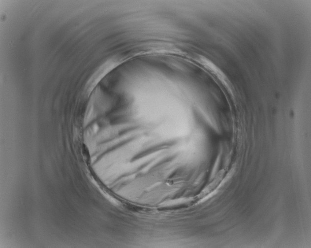 X0000061121385200512161428