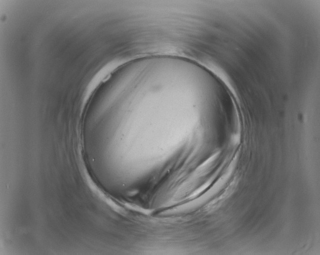 X0000061121389200512161428