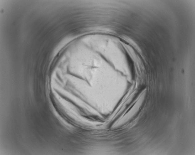 X0000061121391200512161428