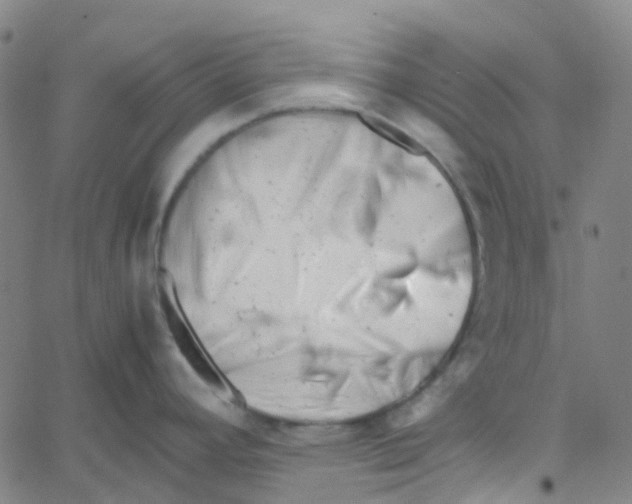 X0000061121392200512161428