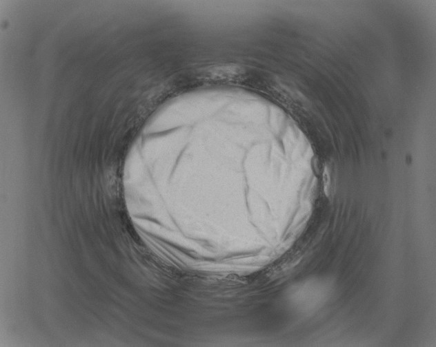 X0000061121395200512161427
