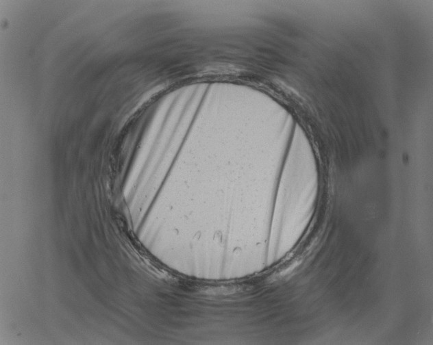 X0000061121401200512161427