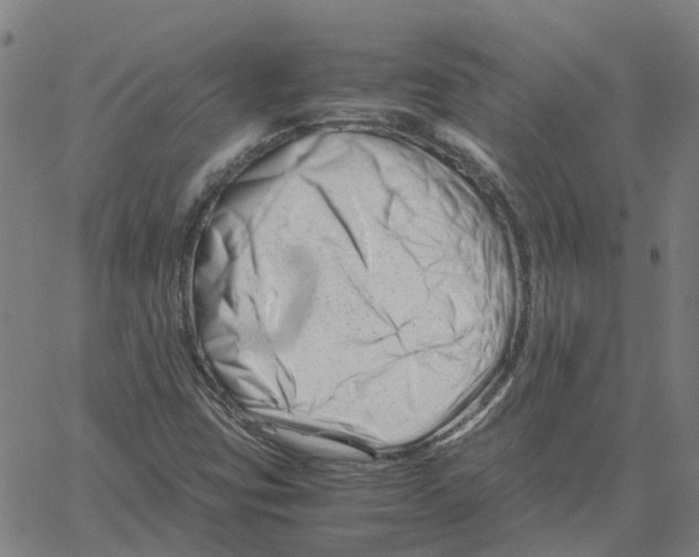 X0000061121403200512161427