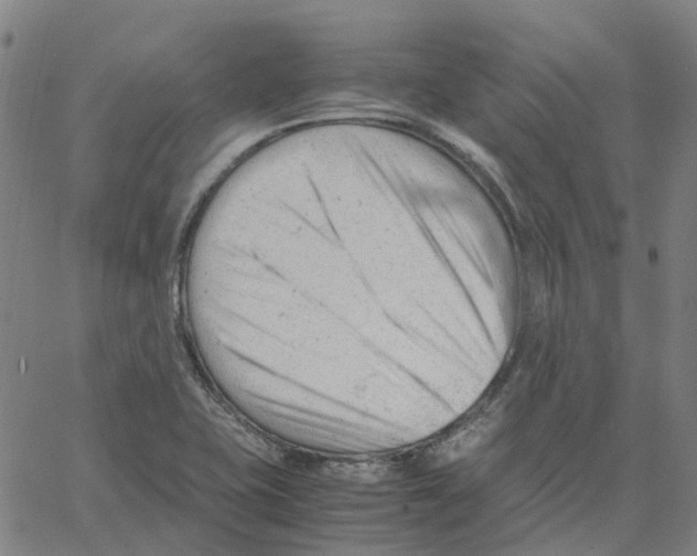 X0000061121415200512161427