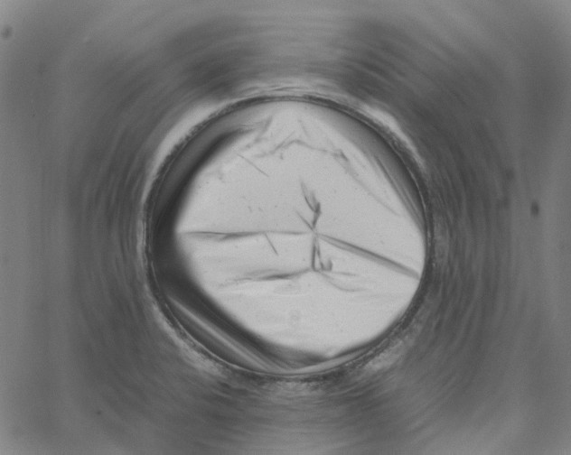 X0000061121424200512161428