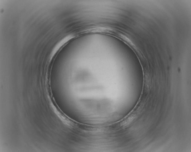 X0000061121426200512161428