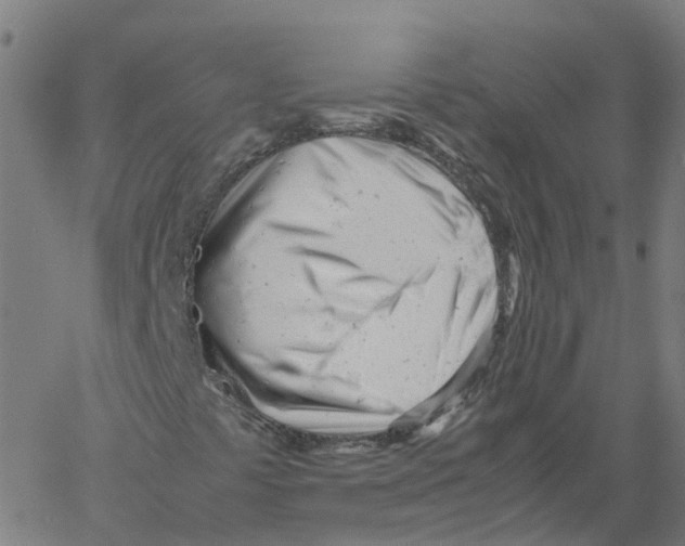 X0000061121441200512161427