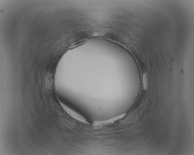 X0000061121443200512161427