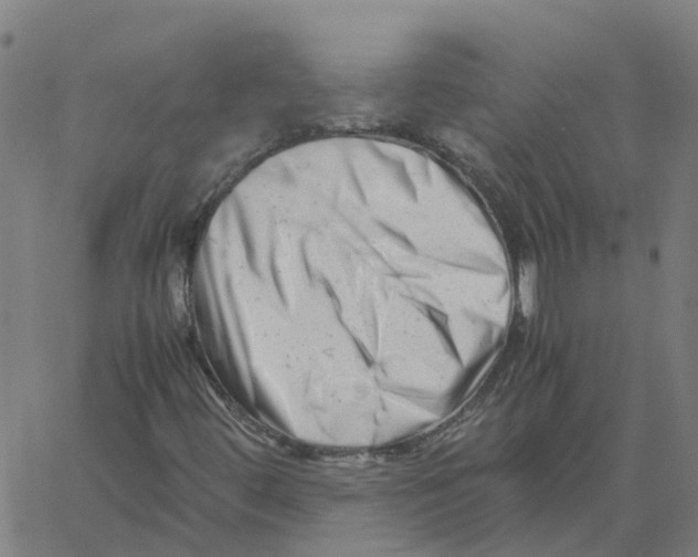 X0000061121444200512161427