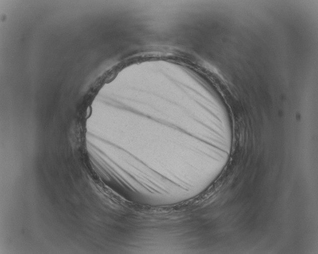 X0000061121448200512161427
