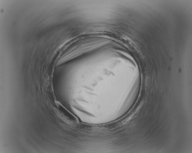 X0000061121449200512161427