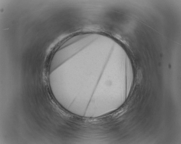X0000061121454200512161427