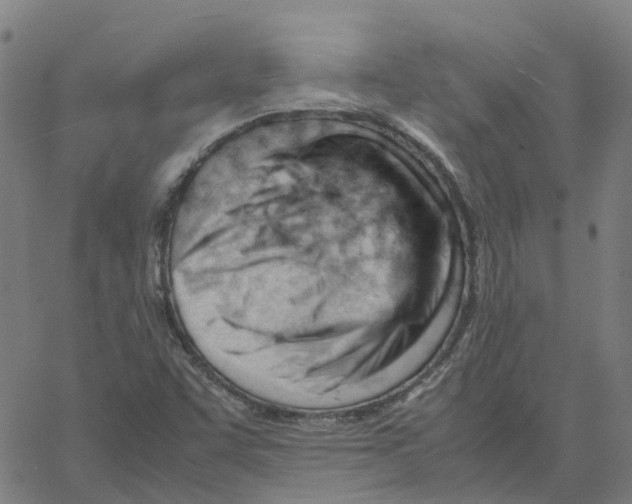X0000061121455200512161427