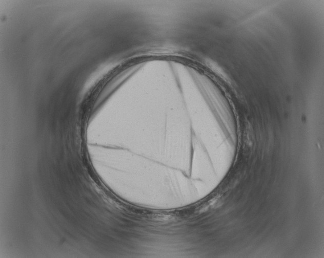 X0000061121456200512161427