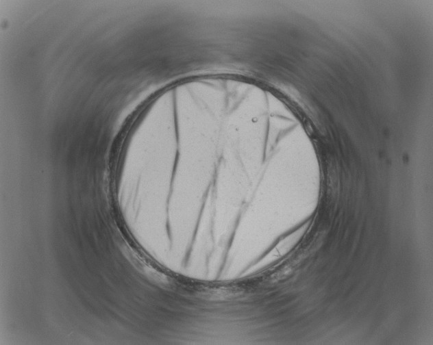 X0000061121460200512161427