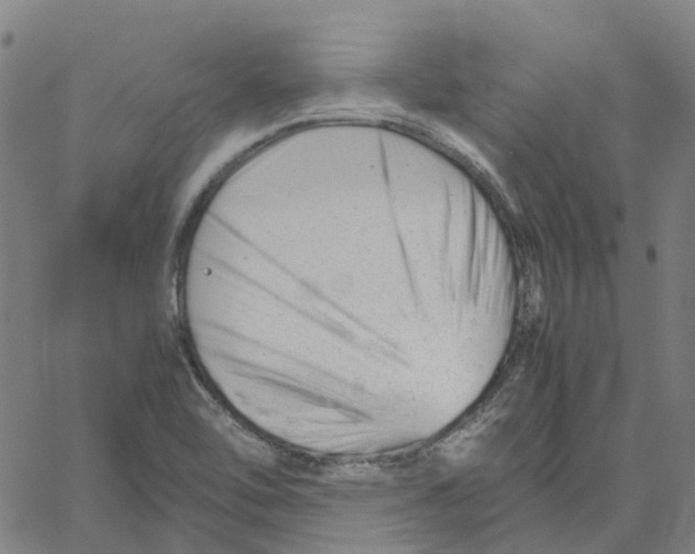 X0000061121462200512161427