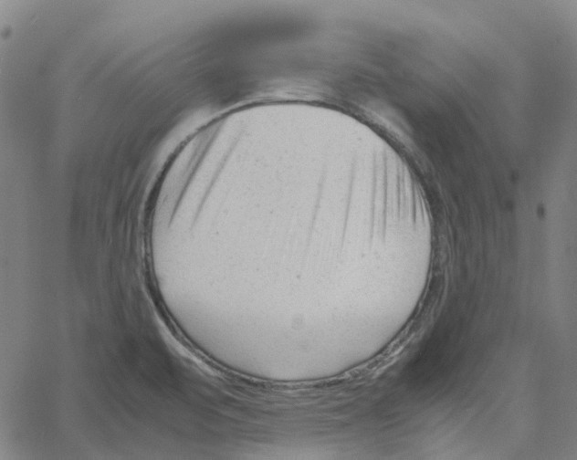 X0000061121471200512161426