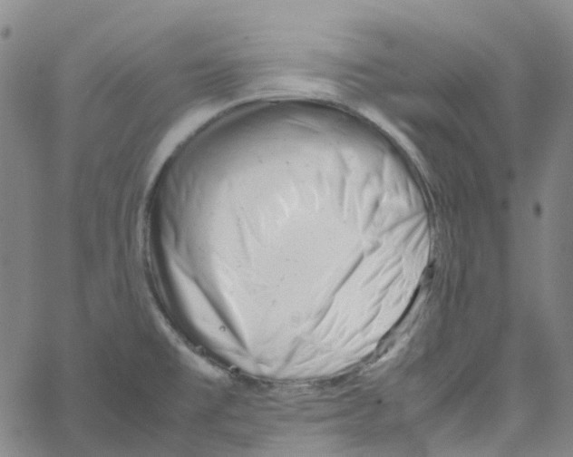 X0000061121477200512161426