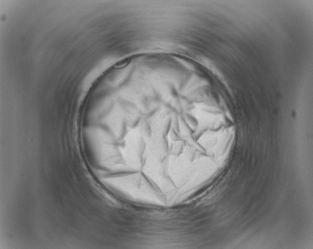X0000061121480200512161426