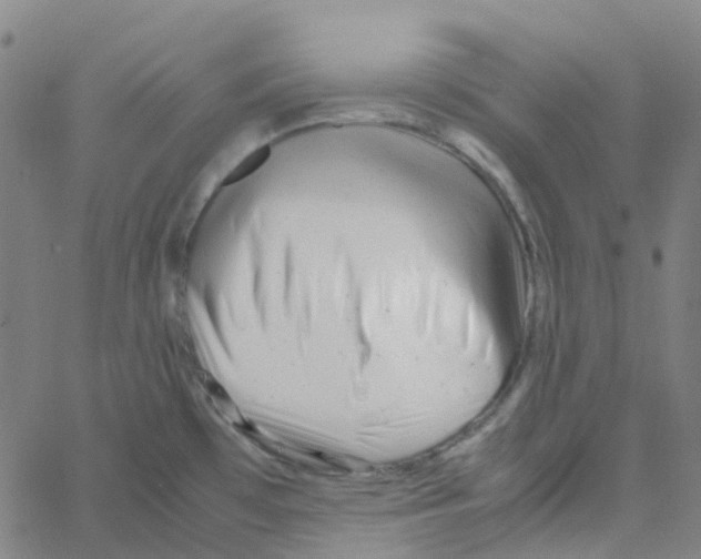 X0000061121481200512161426