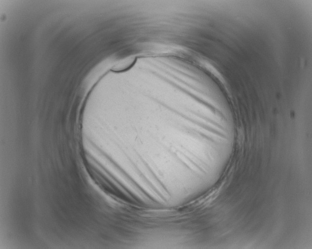 X0000061121487200512161426