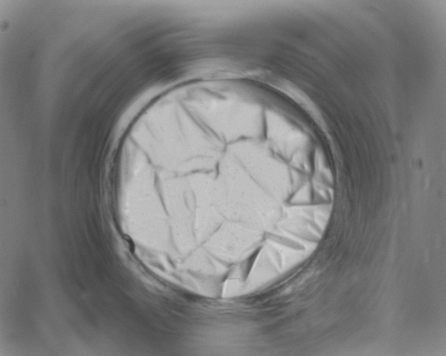 X0000061121488200512161426