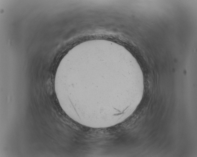 X0000061121493200512161425