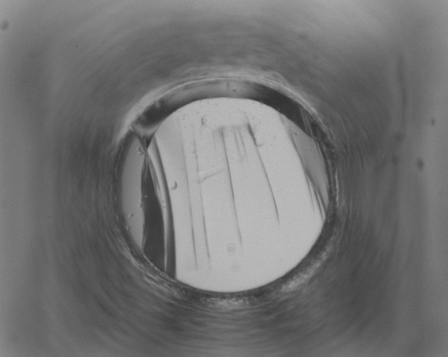 X0000061121501200512161426