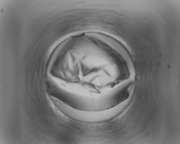 X0000061121534200512161426