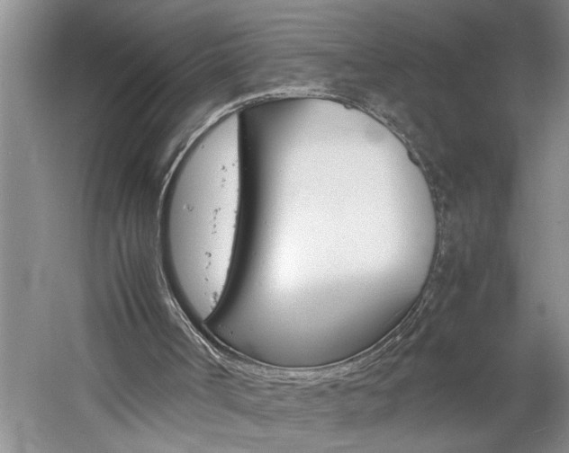 X0000061140002200511181018