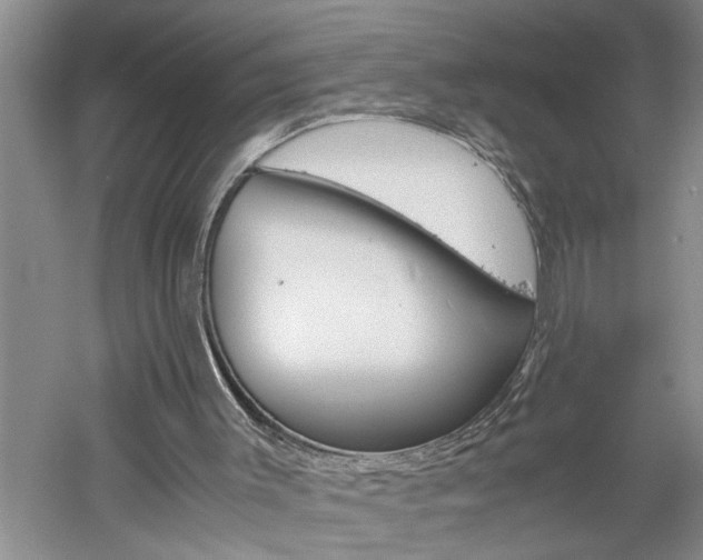 X0000061140003200511181018