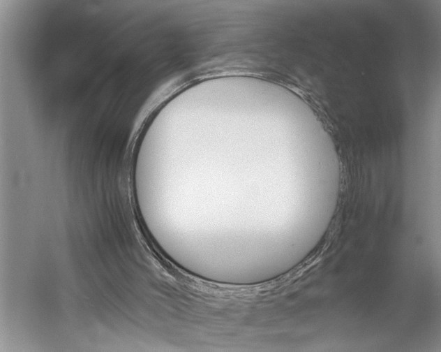 X0000061140004200511181018