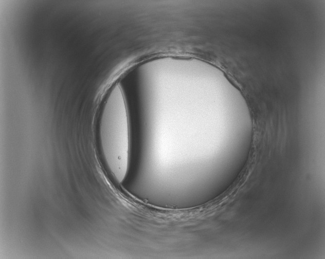 X0000061140005200511181018