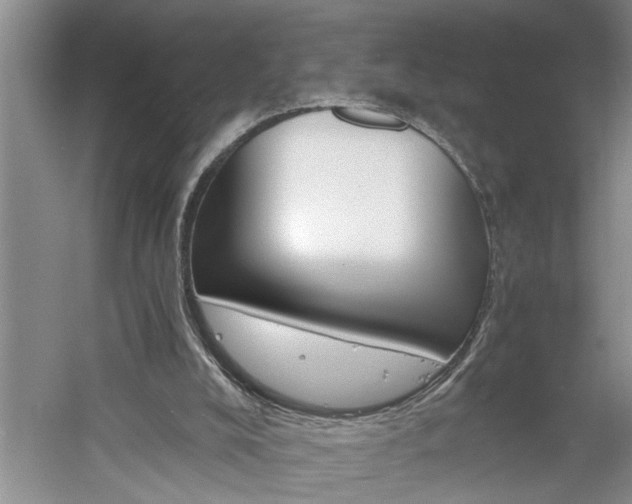 X0000061140008200511181018